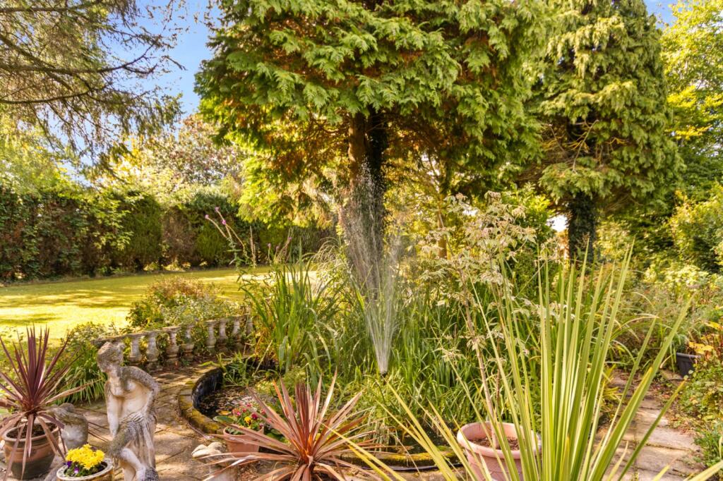 Water Feature