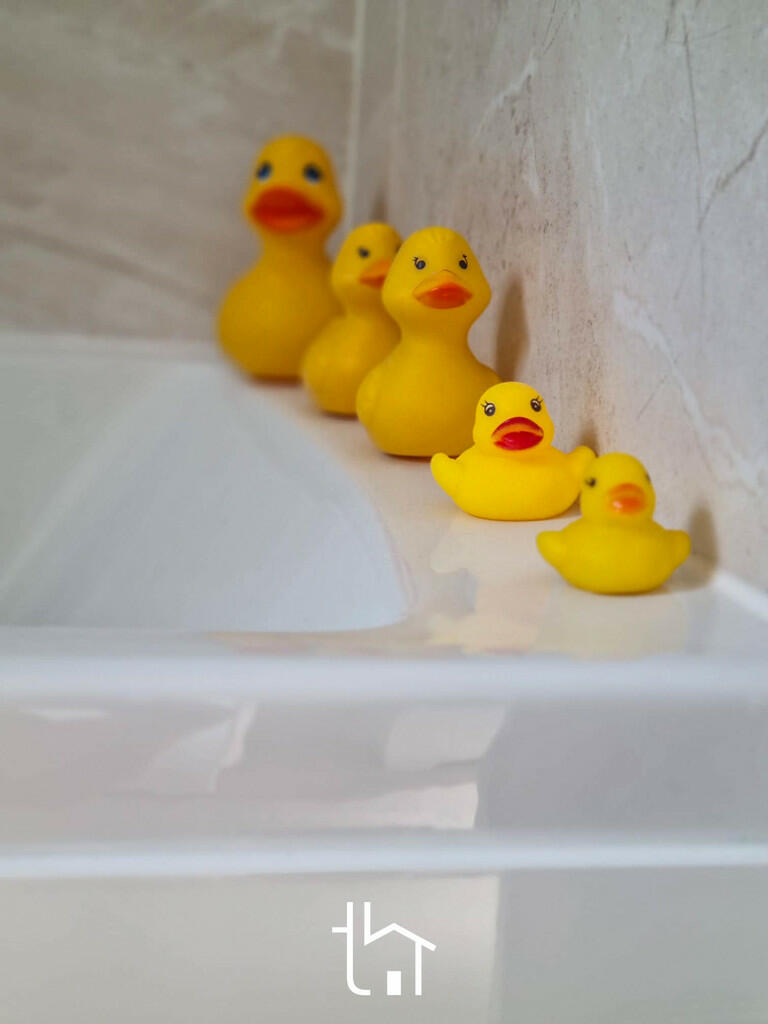 Bathroom Ducks