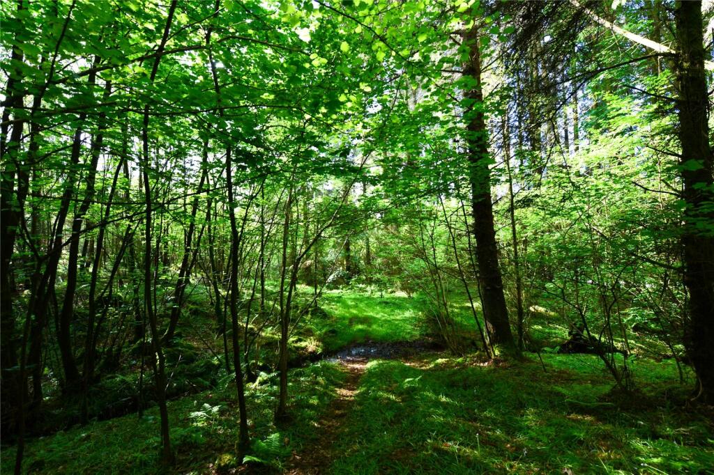 Woodland
