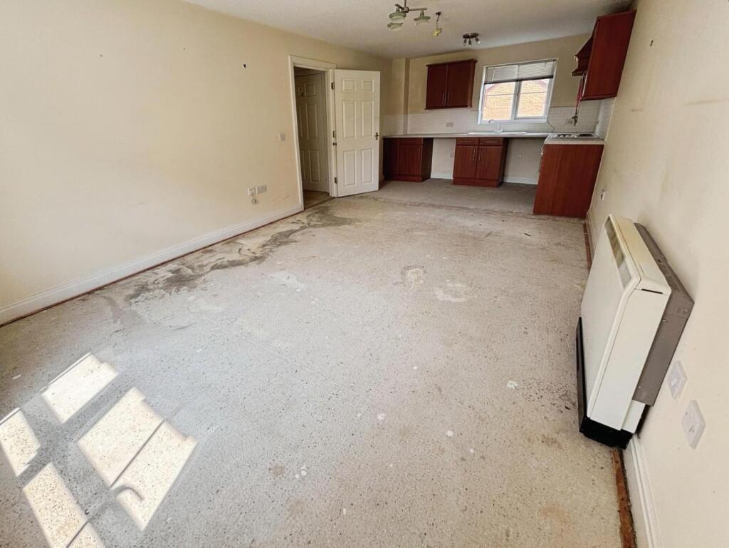 user_edited_photo-8564a85d_user-edited-ec569aac-e9