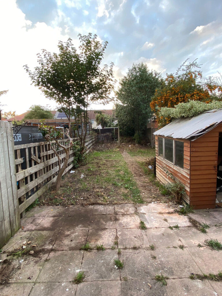 garden.jpeg