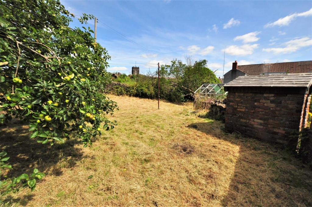 Garden2.JPG
