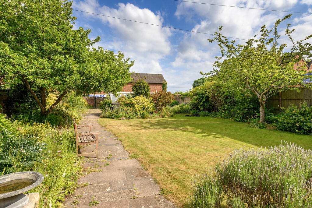 Garden 3