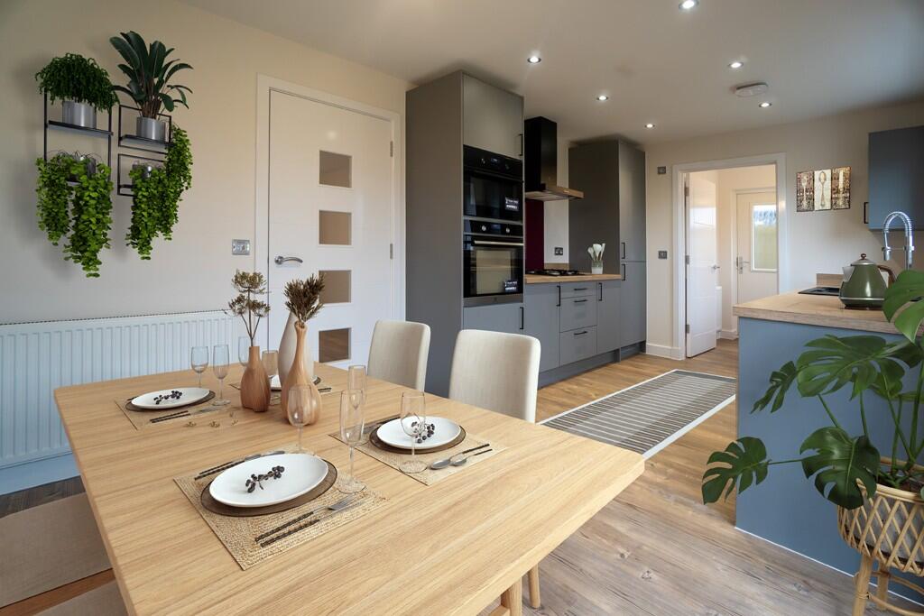 Falkland interior