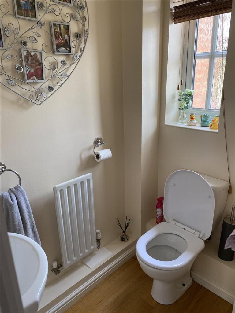 4 Blueberry D:S W:C.jpg