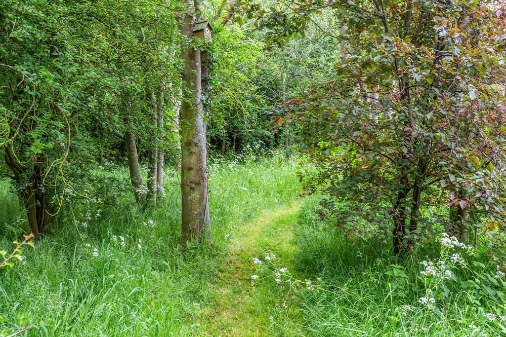 71431_The-Dairies...