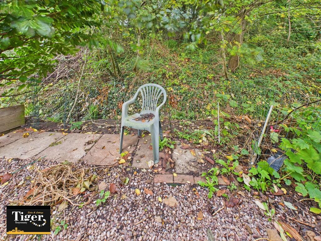 CAM02176G0-PR0736...