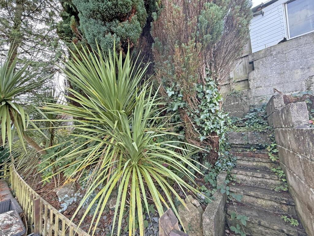 Edwards Close 27 - Garden 6.jpg