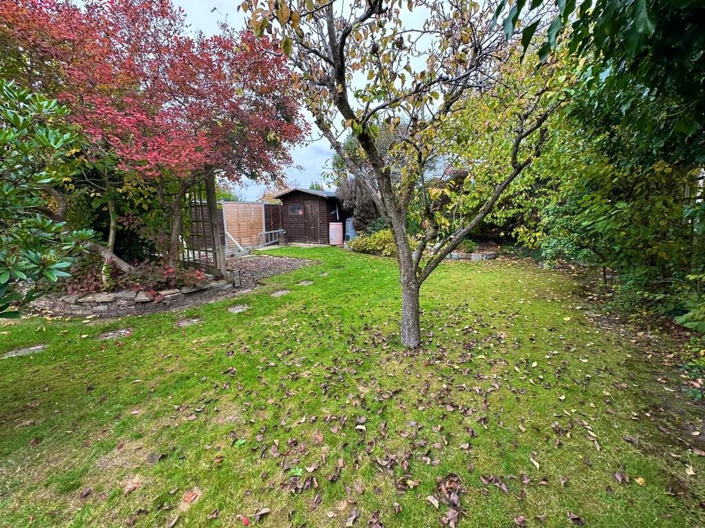 IMG-20251019-WA00...