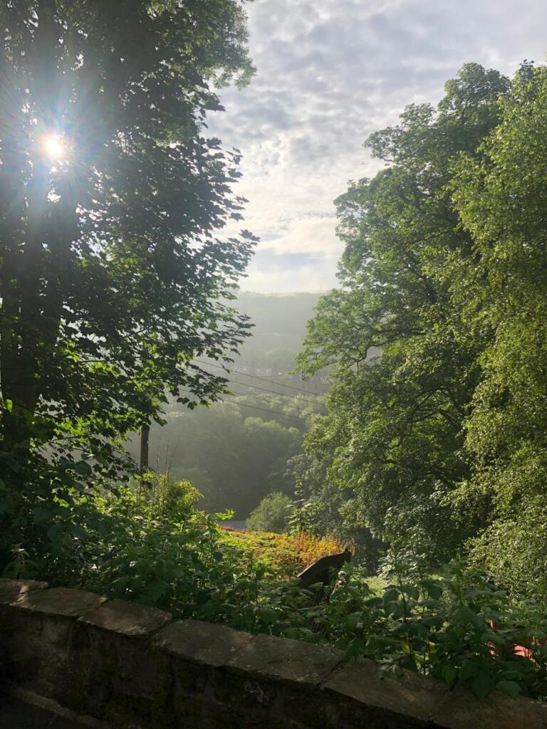View From  Garden