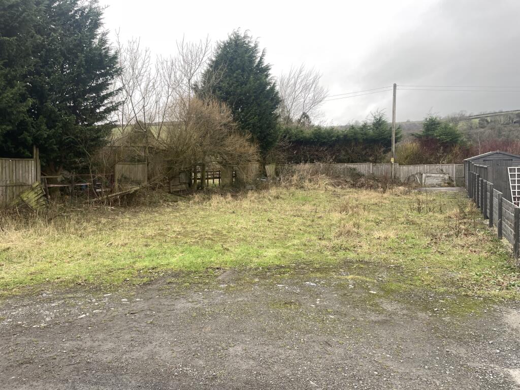 IMG 4489 T202501161029.jpeg