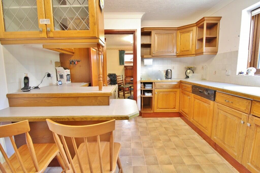 IMG_5512 (1024x68...