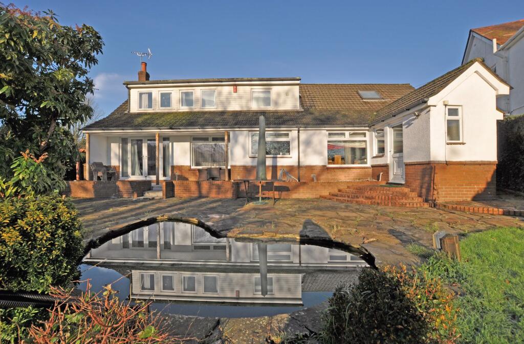 Back Garden