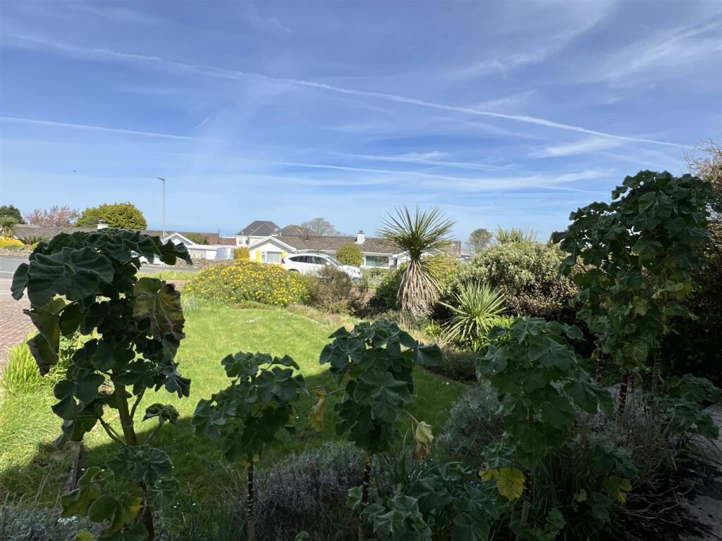 garden a.jpg
