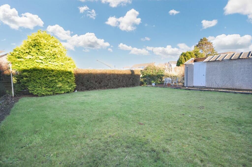 Back Garden