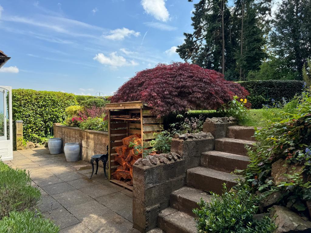 Area of flat garden off sitting room