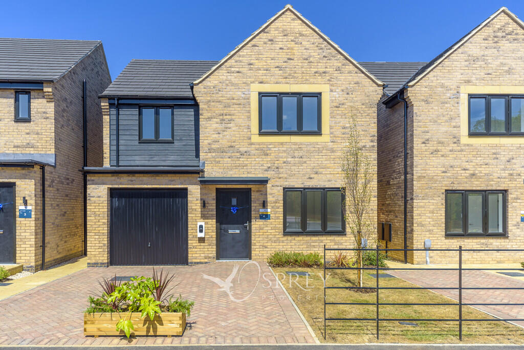 The Burnham- Four...