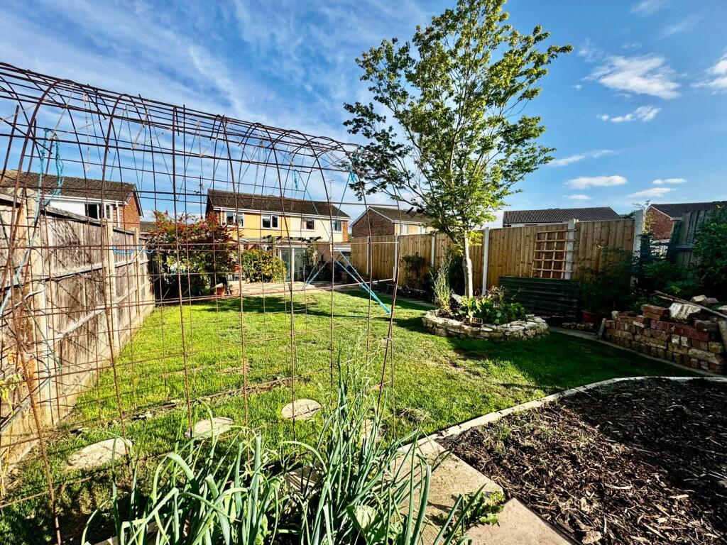 Garden Lawn