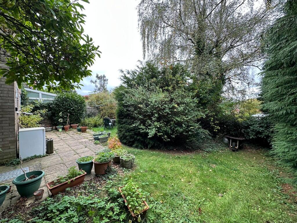 IMG-20251009-WA00...