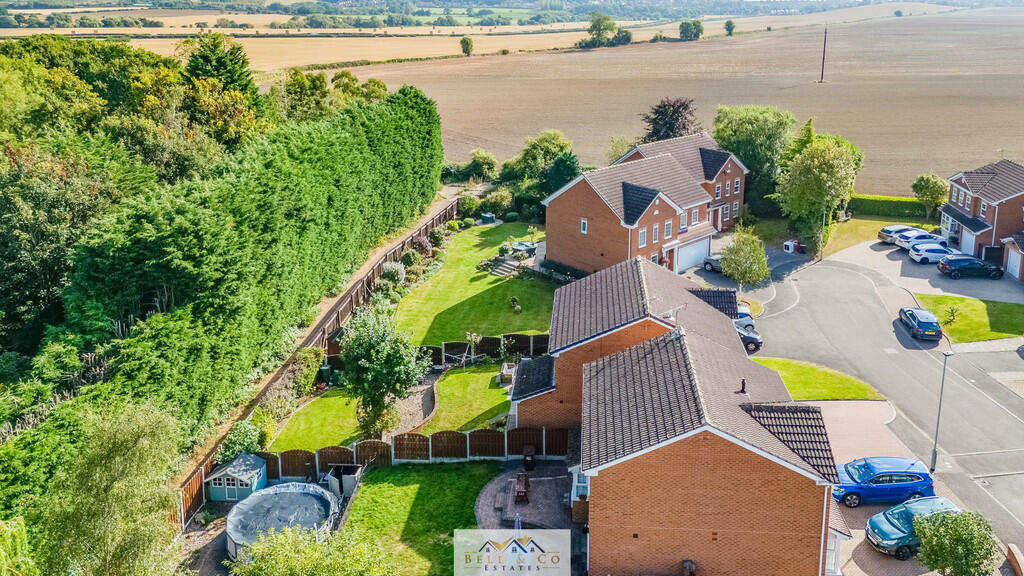 Aerial 1
