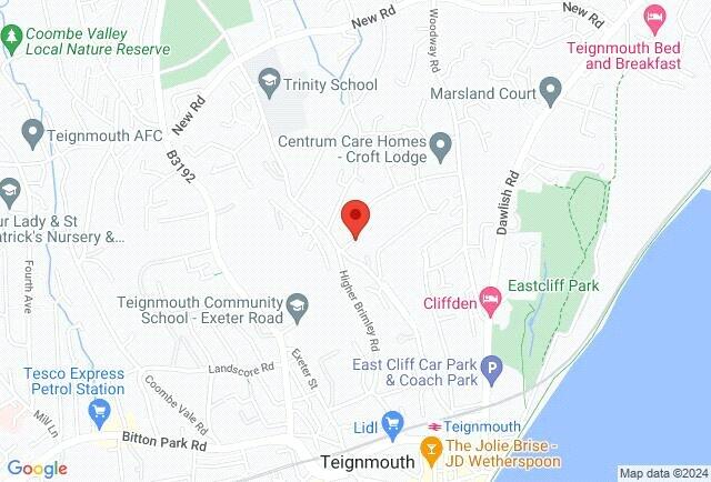 Google Maps Image