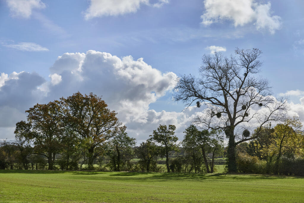 239828 - DGLA1186.jpg