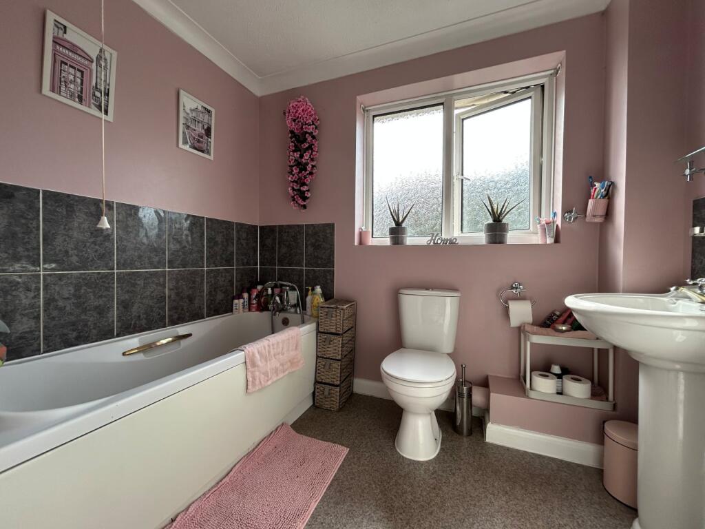 Picture 7