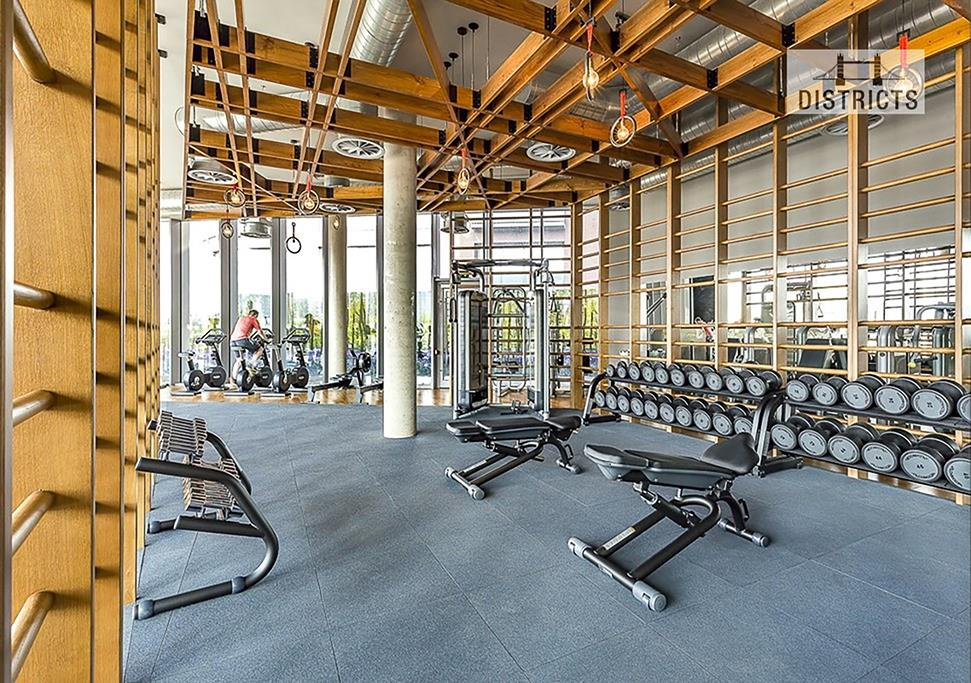 Gym - Districts WM.png