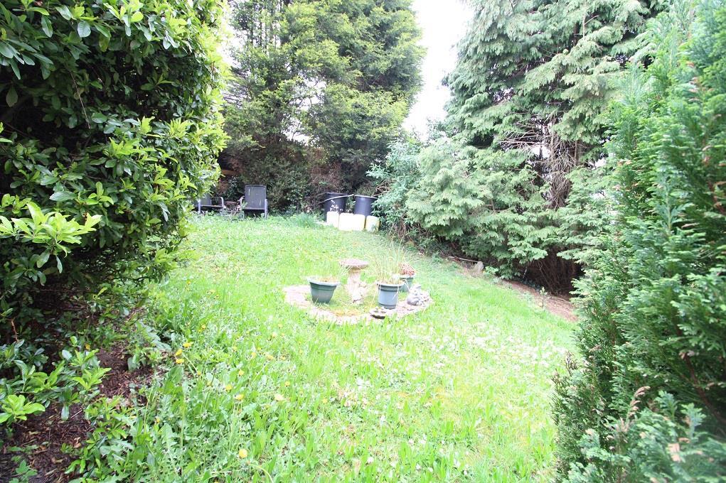 REAR GARDEN.jpg