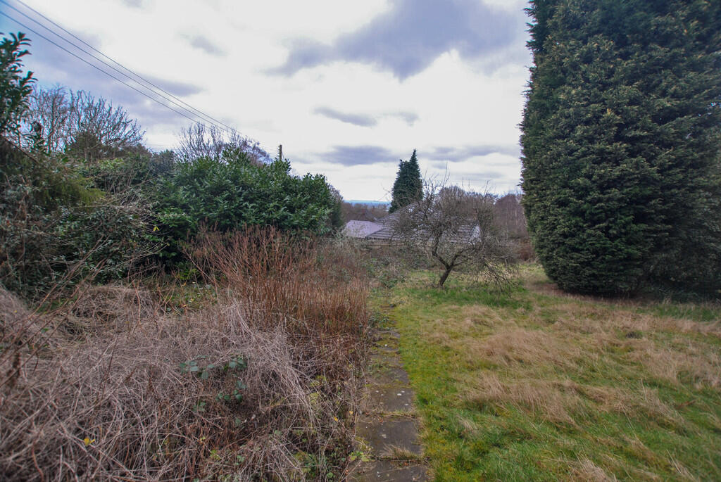 Garden rear_edite...