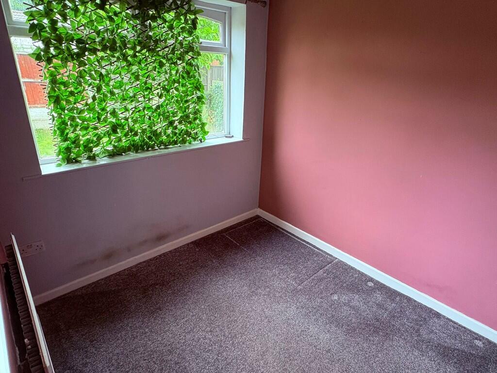 WhatsApp Image 20...