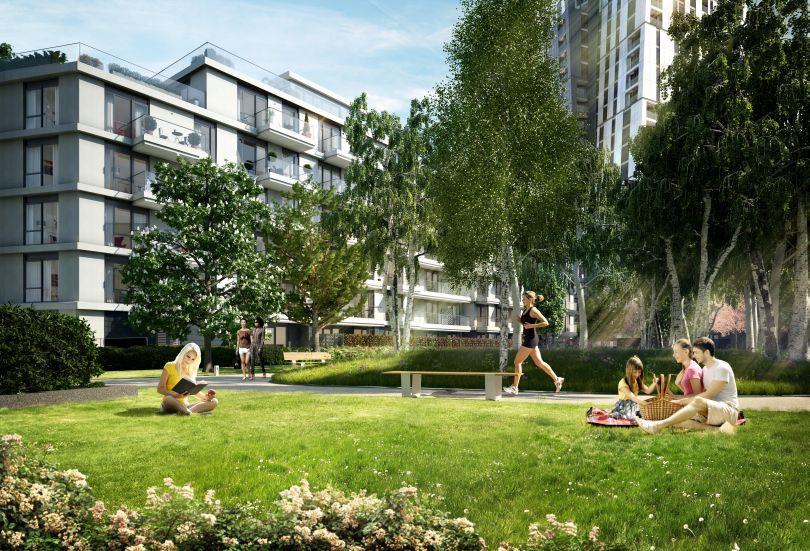 Landscapped Garden