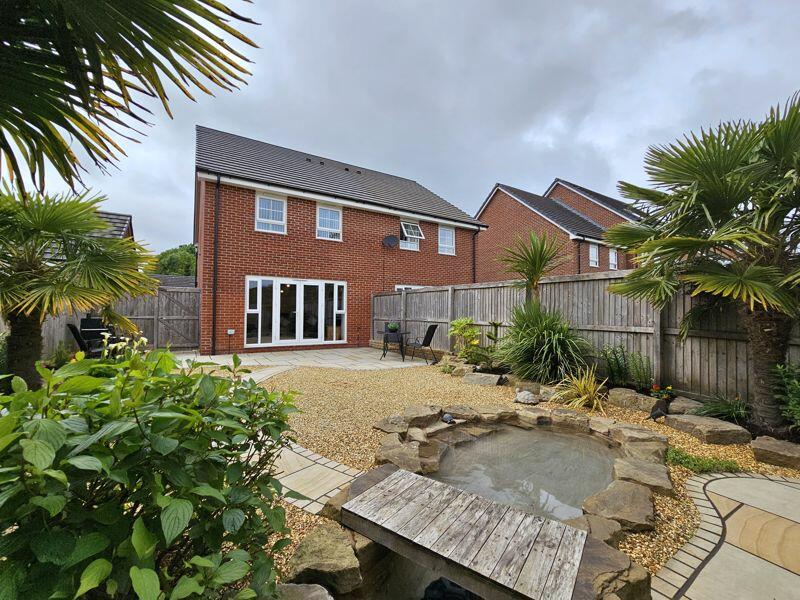 Rear Elevation &amp; Garden