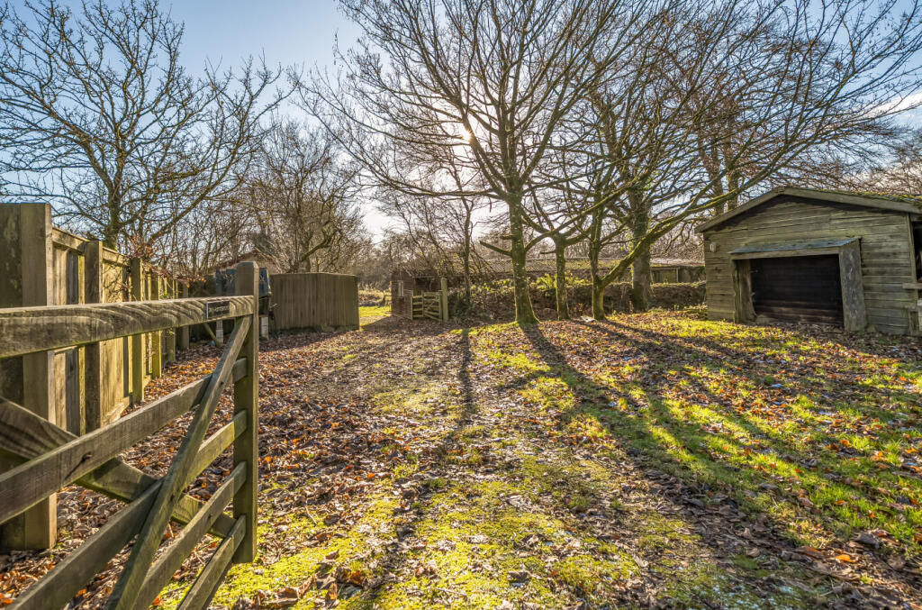 1386146-33-695d19...