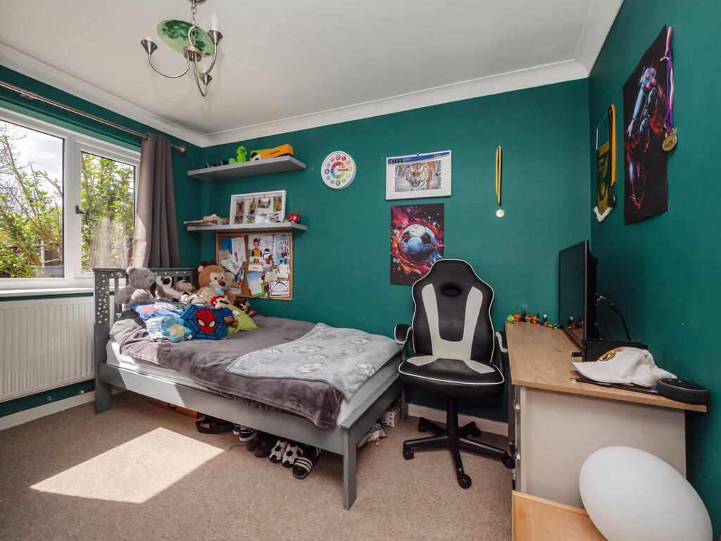 9LittleSnoringRoa...