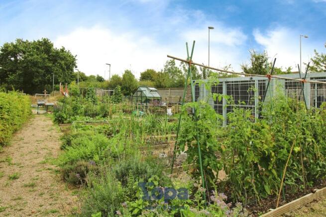 Allotment