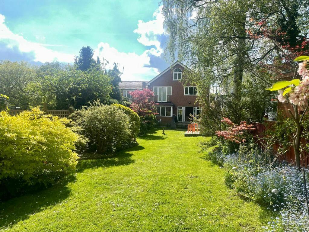 Garden view 2