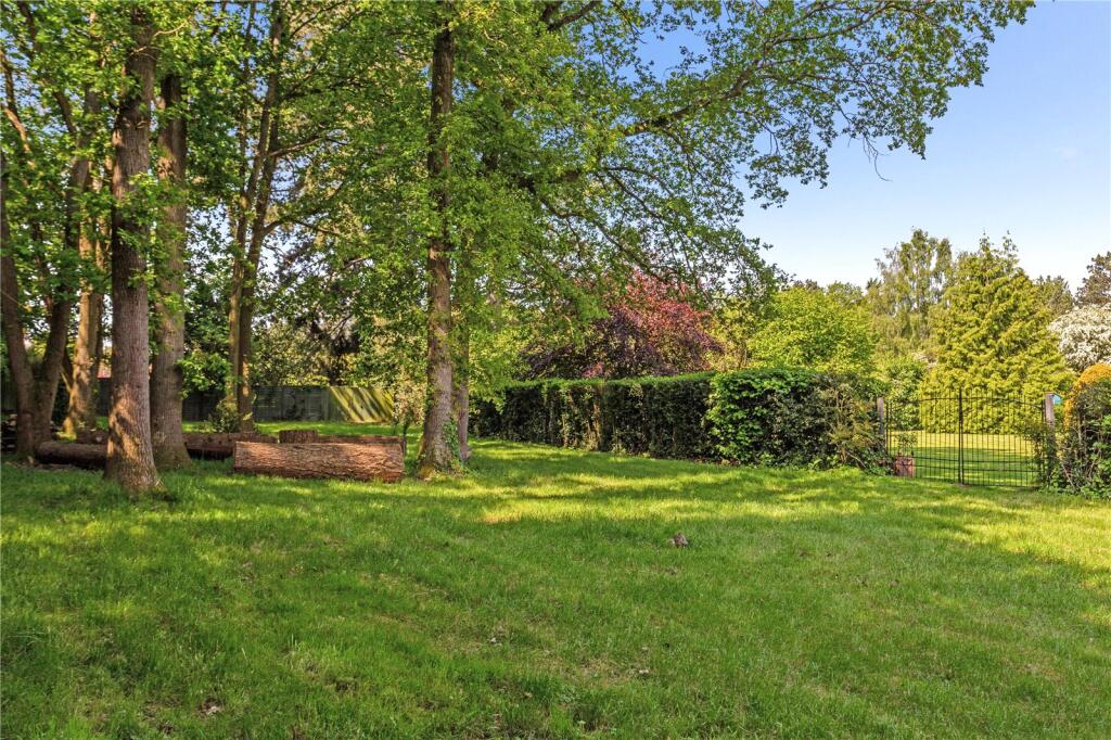 Wooded Area