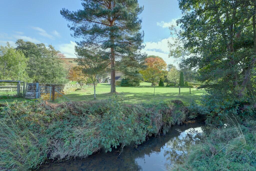 Stream
