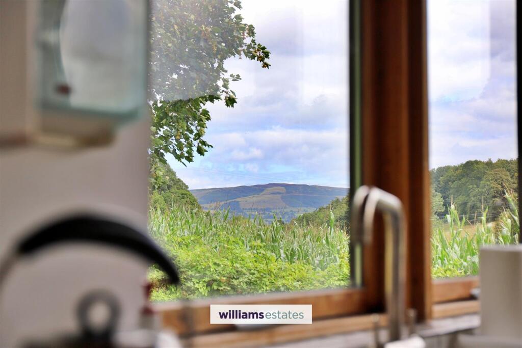 Kitchen View