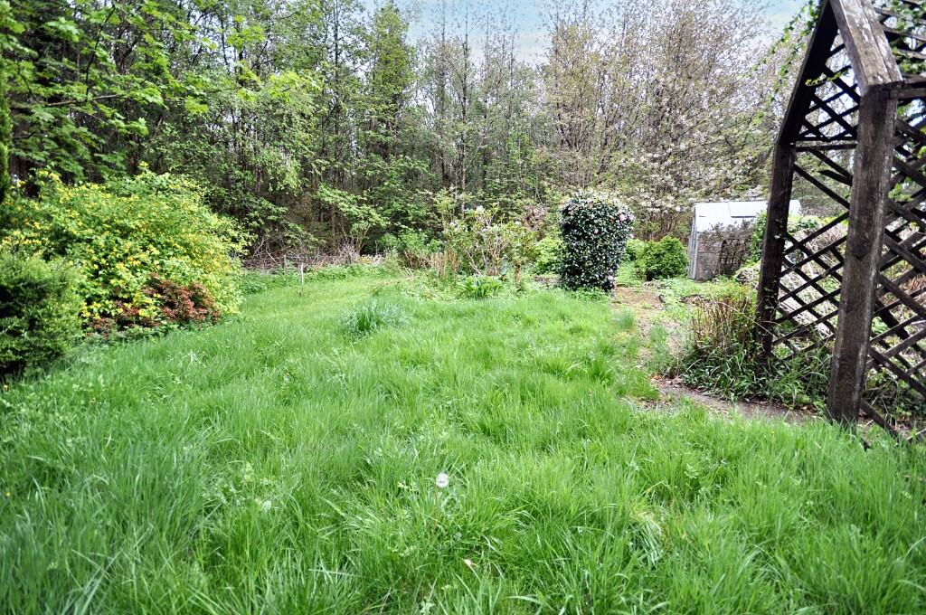 Back Garden