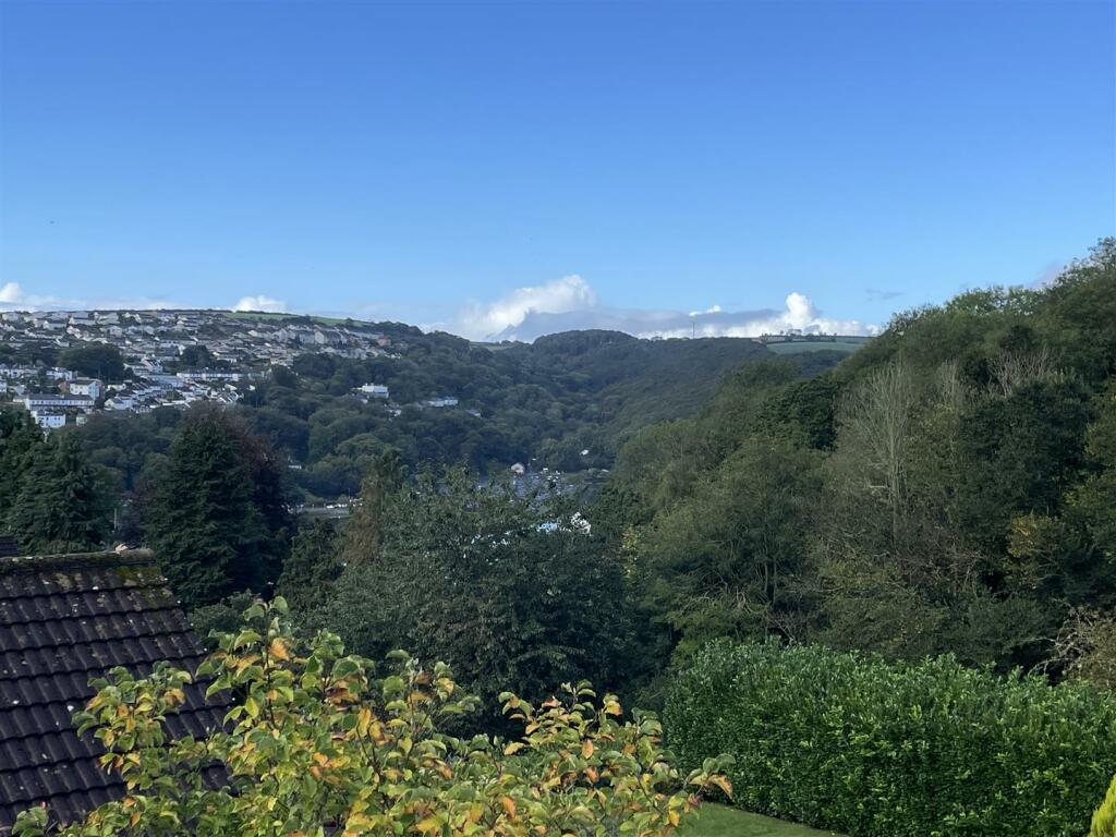 IMG_3383.jpeg