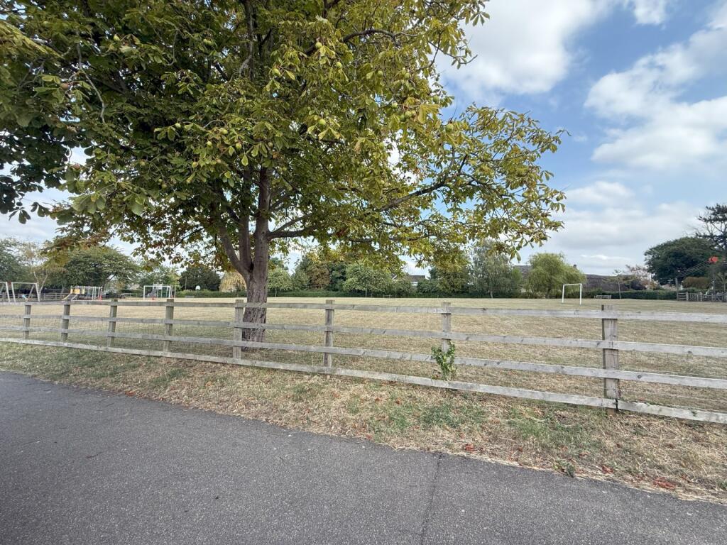 Playing Field