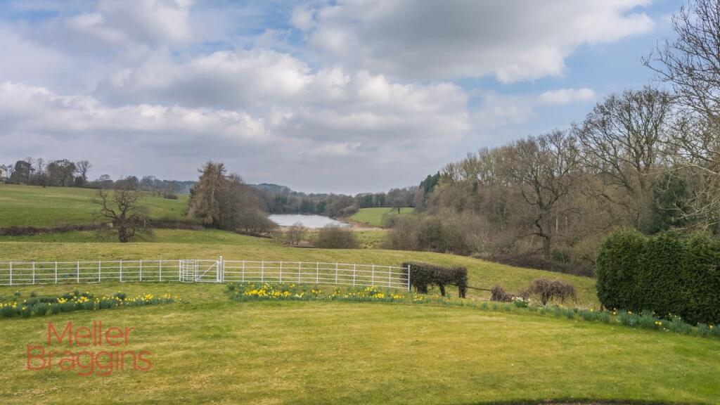 20250321-20250321-DJI_0152-Edit (2).jpg