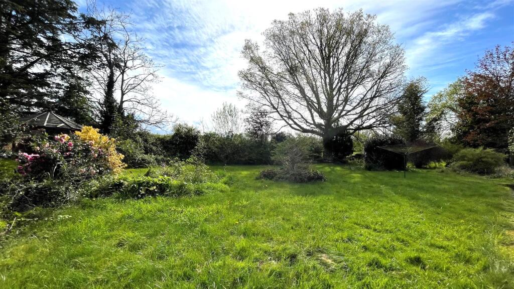 Garden 7.jpg