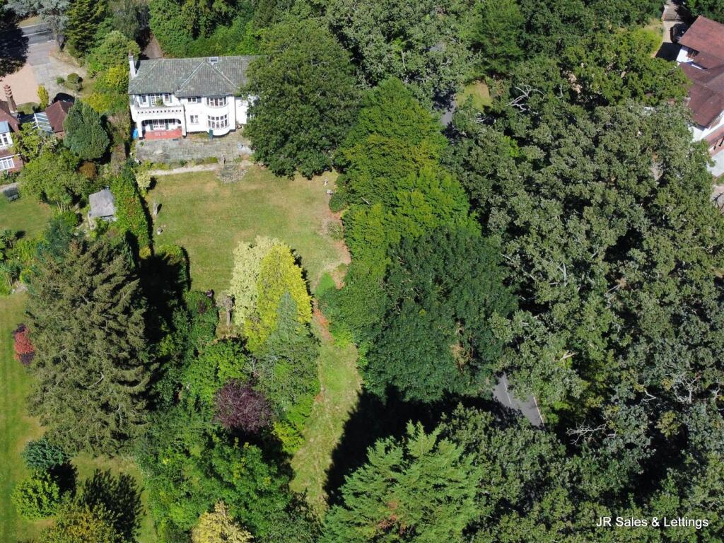 dji_fly_20240813_150912_537_1723558161602_photo_op