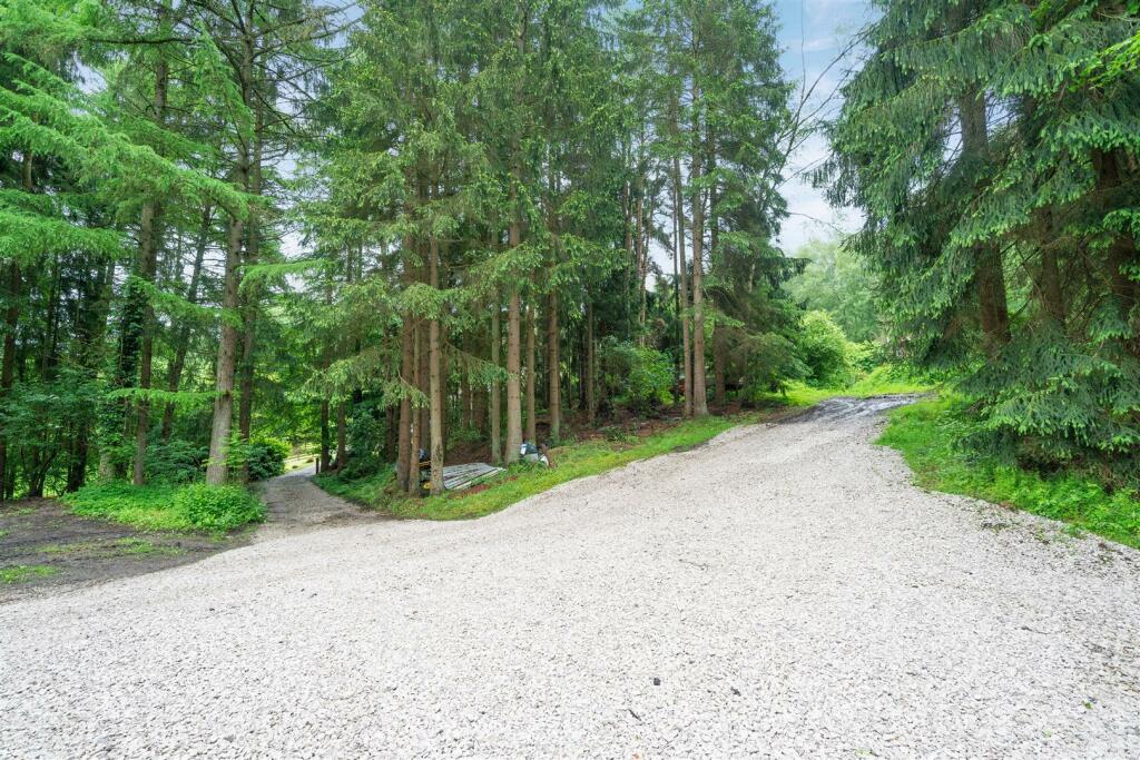 Garden extended-6.jpg