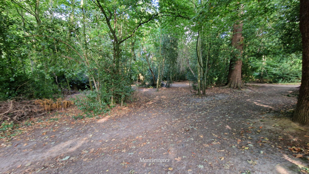 WOODS