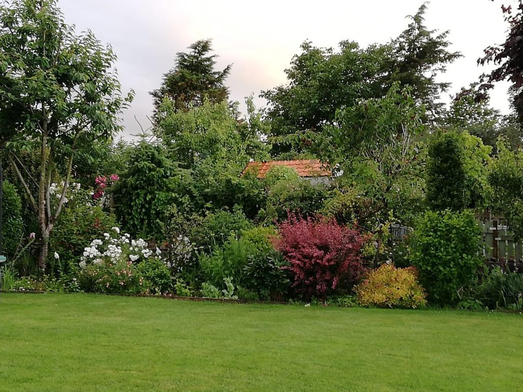 Vendor's garden phot