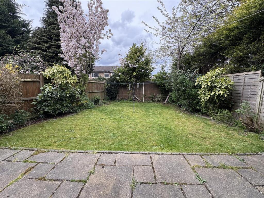 IMG_1120 (Large).jpeg